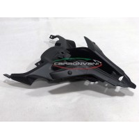 Carbonvani - Ducati Panigale / Streetfighter V4 / V2 / S / R / Speciale Carbon Fiber Bottom Tail (Tray)